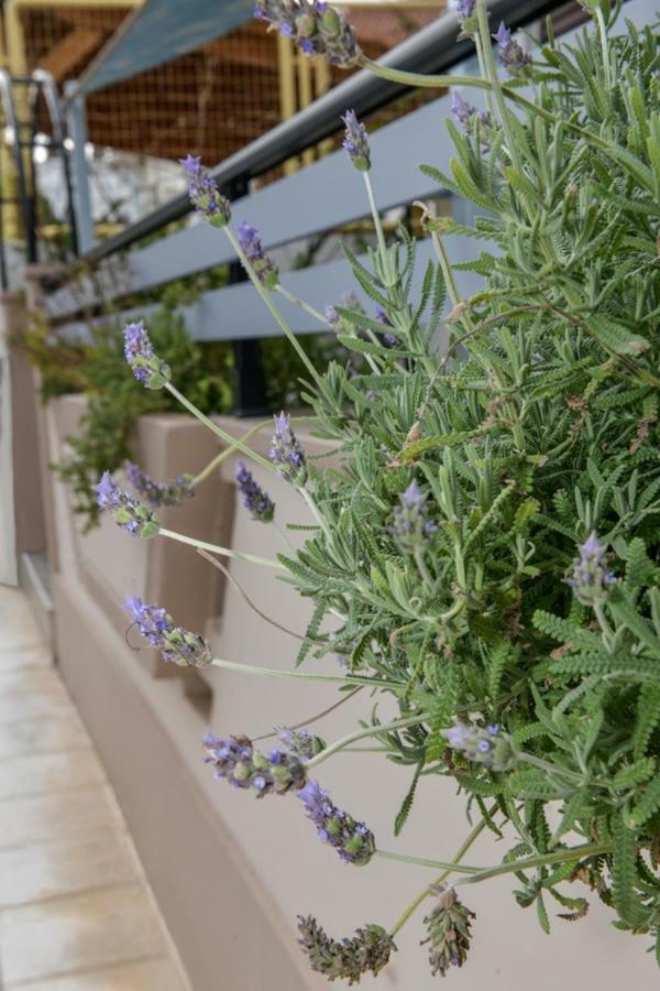 Aromatic Home Κίσσαμος Εξωτερικό φωτογραφία